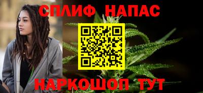 молекула духа Будённовск