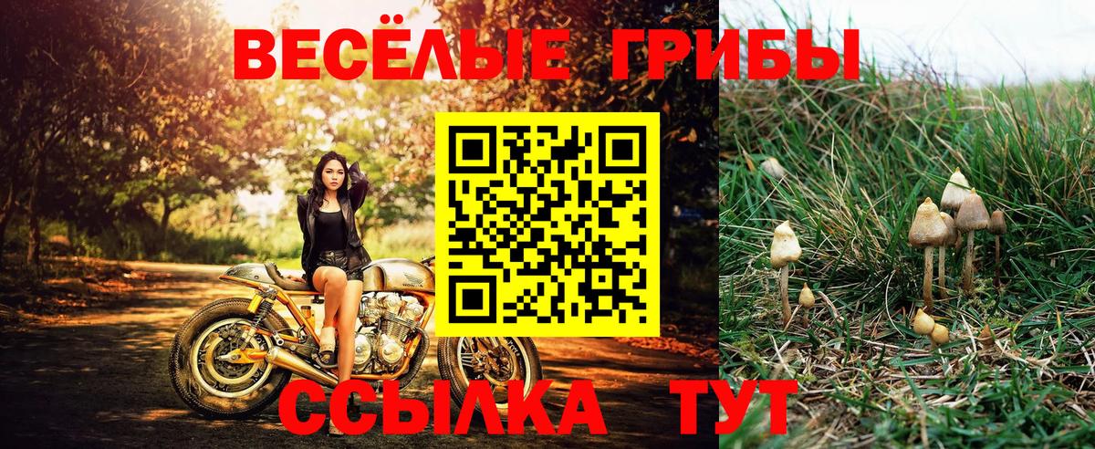 Галлюциногенные грибы Magic Shrooms  Вход с VPN  Протвино 